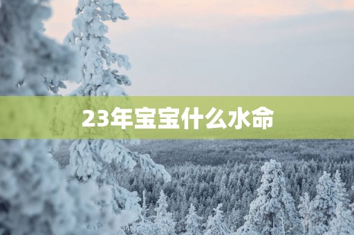 23年宝宝什么水命