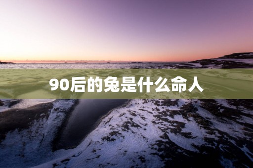90后的兔是什么命人