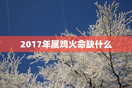 2017年属鸡火命缺什么