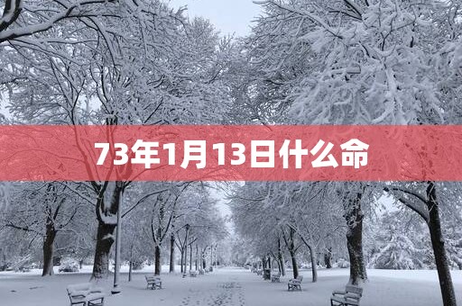 73年1月13日什么命