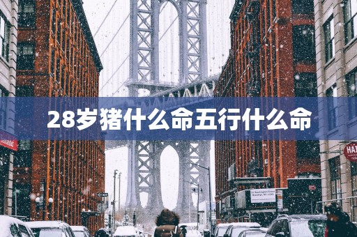 28岁猪什么命五行什么命