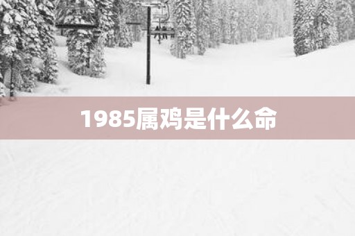 1985属鸡是什么命
