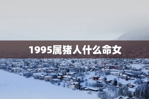 1995属猪人什么命女
