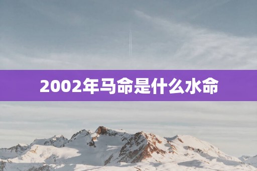 2002年马命是什么水命