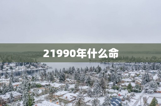 21990年什么命