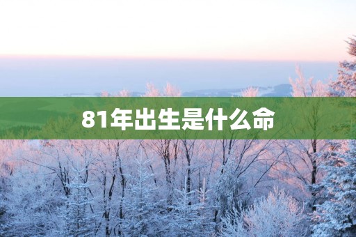 81年出生是什么命
