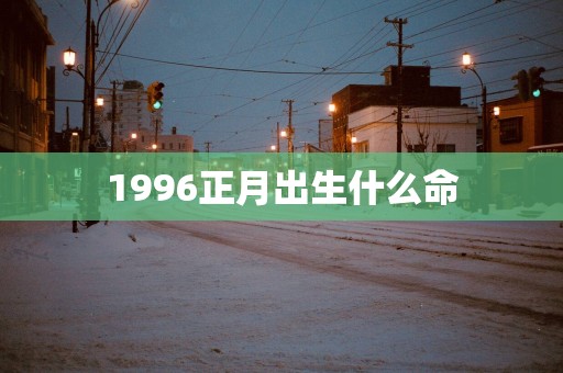 1996正月出生什么命