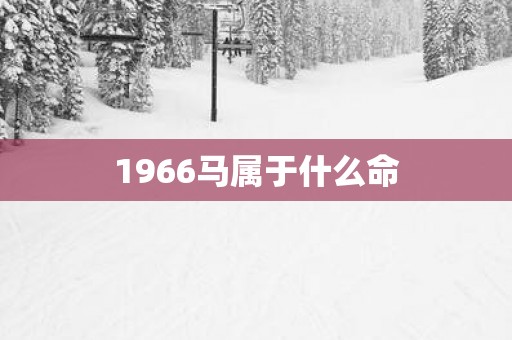 1966马属于什么命