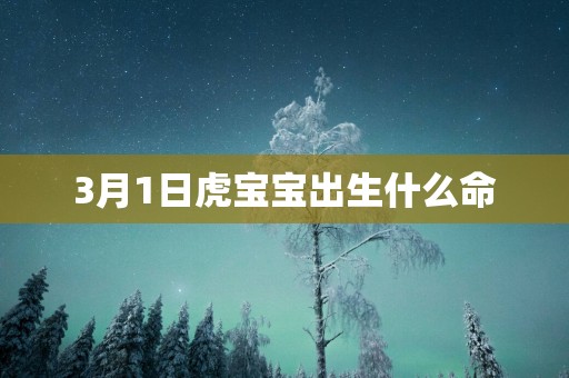 3月1日虎宝宝出生什么命