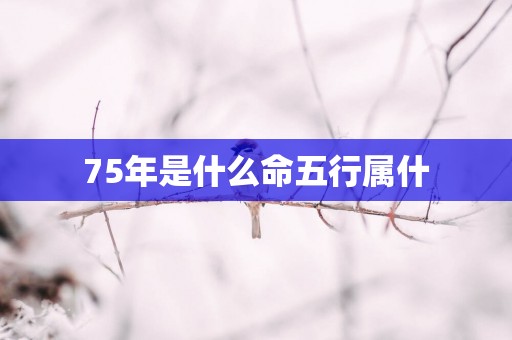 75年是什么命五行属什