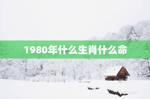 1980年什么生肖什么命