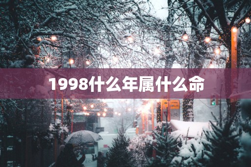 1998什么年属什么命