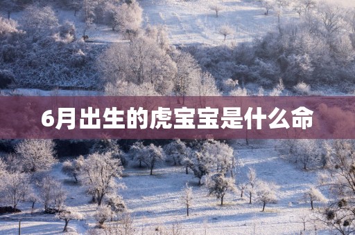 6月出生的虎宝宝是什么命