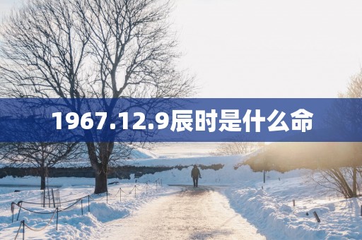1967.12.9辰时是什么命