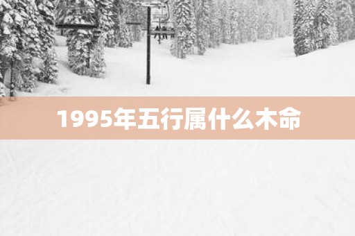1995年五行属什么木命