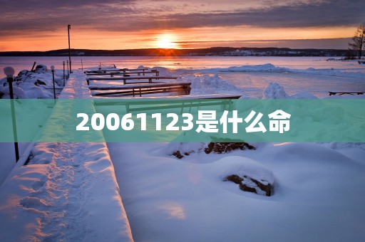20061123是什么命
