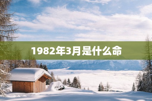1982年3月是什么命
