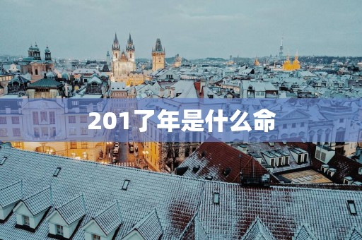201了年是什么命