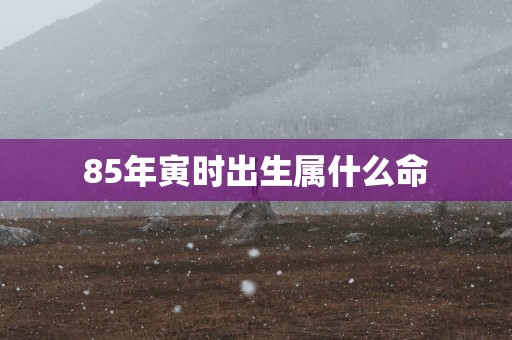 85年寅时出生属什么命