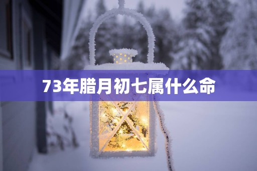 73年腊月初七属什么命