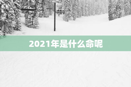 2025年是什么命呢