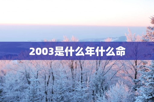 2003是什么年什么命