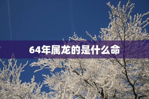64年属龙的是什么命