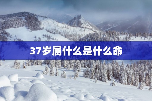 37岁属什么是什么命