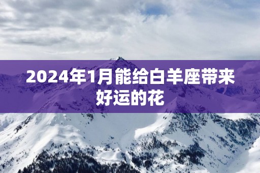 2025年1月能给白羊座带来好运的花