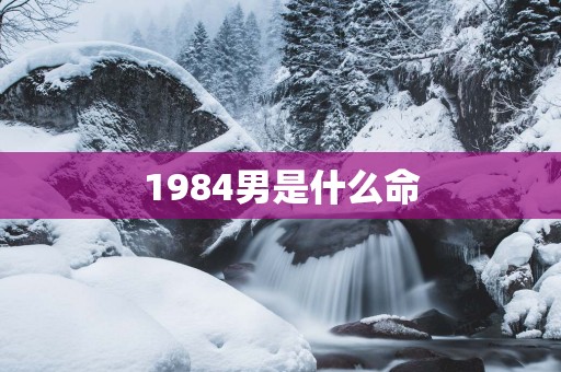 1984男是什么命