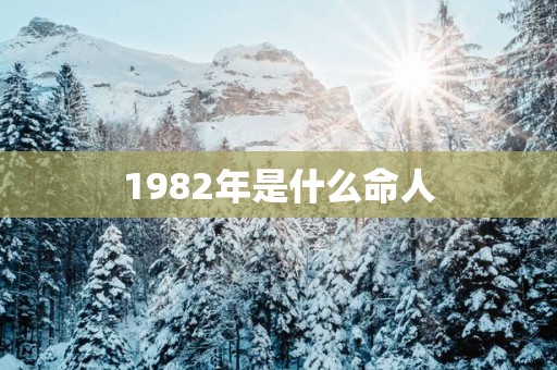 1982年是什么命人