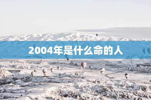 2004年是什么命的人