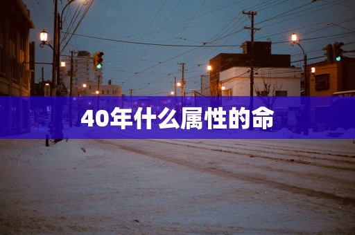 40年什么属性的命