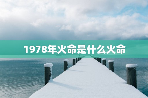 1978年火命是什么火命