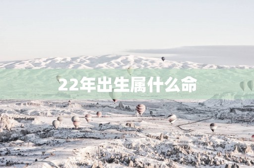 22年出生属什么命