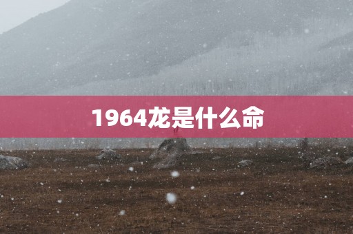 1964龙是什么命