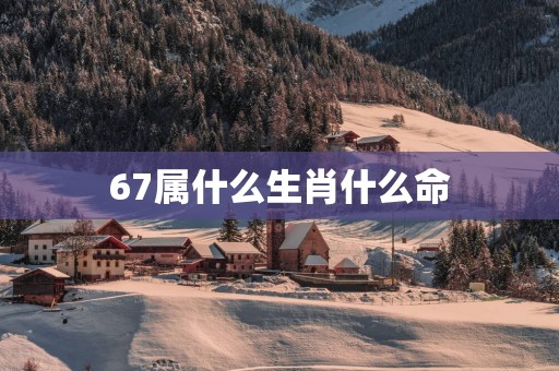 67属什么生肖什么命