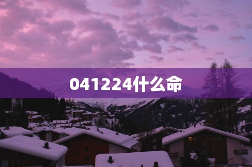 041224什么命