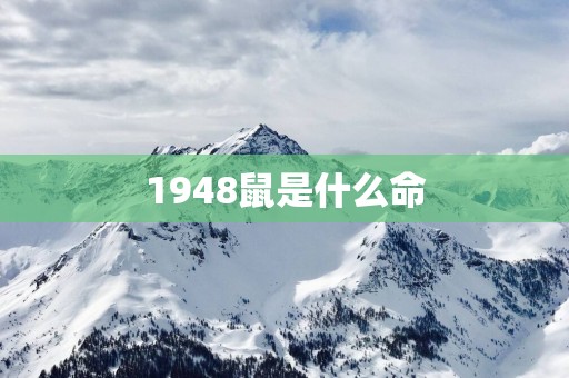 1948鼠是什么命