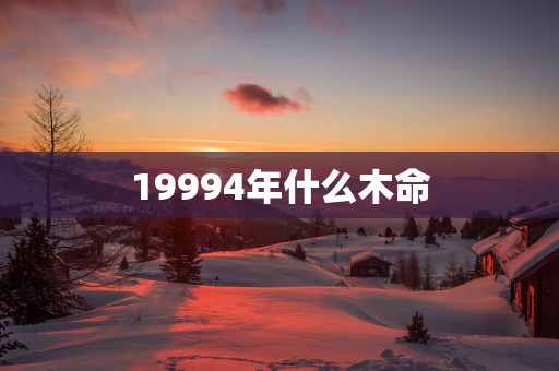 19994年什么木命