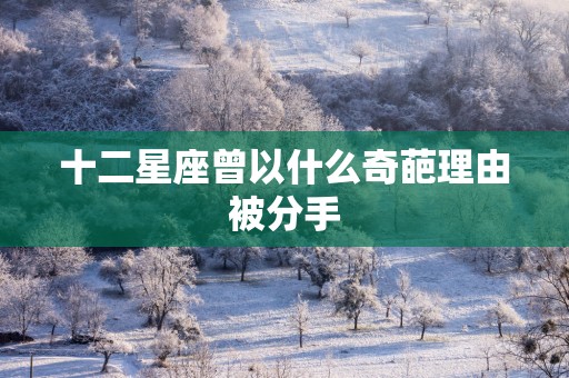十二星座曾以什么奇葩理由被分手