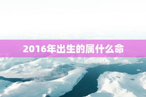 2016年出生的属什么命