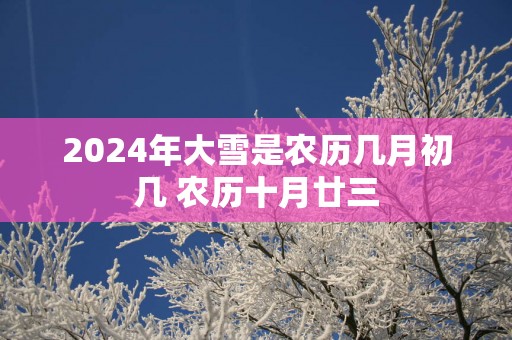 2024年大雪是农历几月初几 农历十月廿三