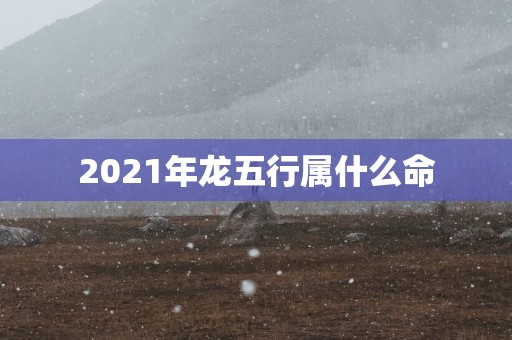 2025年龙五行属什么命
