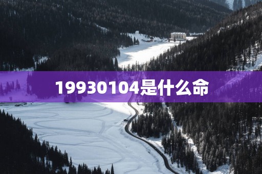 19930104是什么命