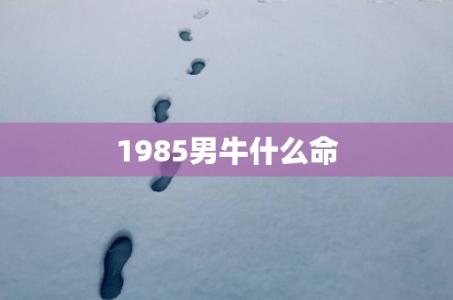 1985男牛什么命