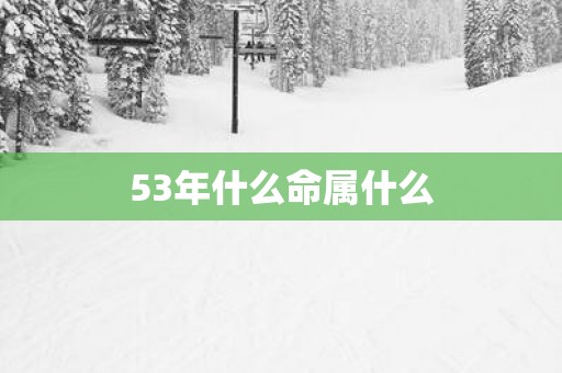 53年什么命属什么