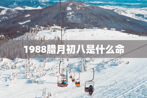 1988腊月初八是什么命