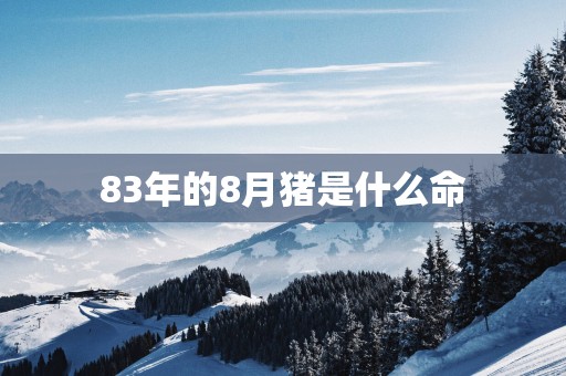 83年的8月猪是什么命