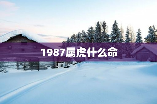 1987属虎什么命